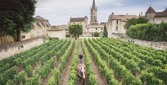 Clos Bernon Libourne Extérieur photo